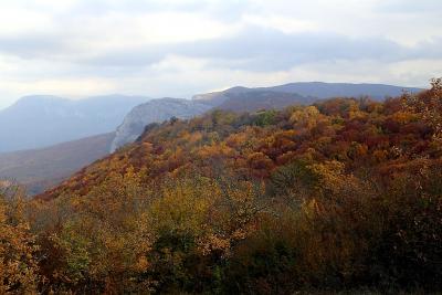 Прикрепленное изображение: 20211017_204141.jpg